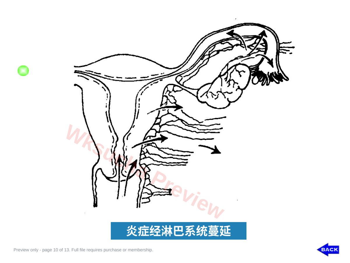 预览第 10 页