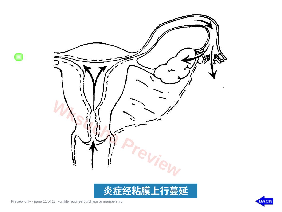 预览第 11 页