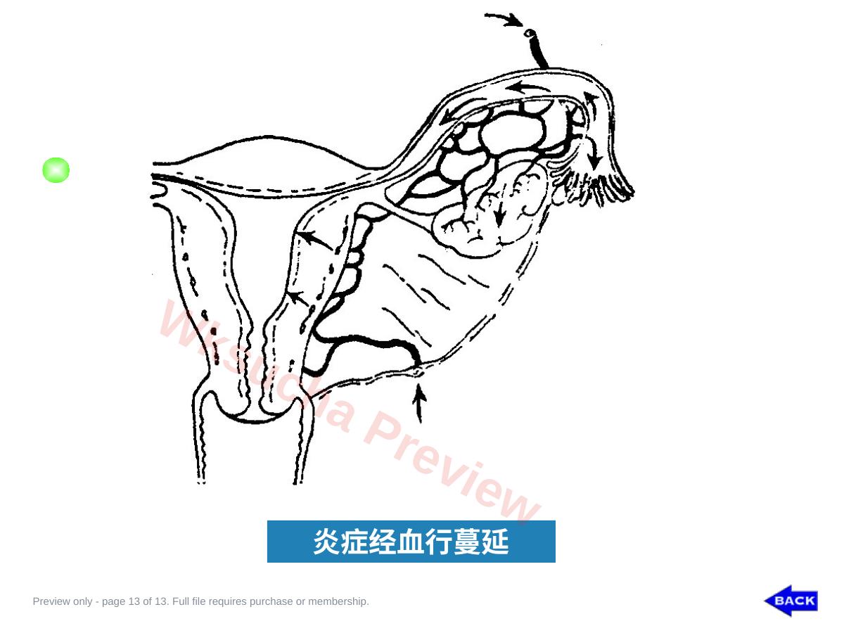 预览第 13 页