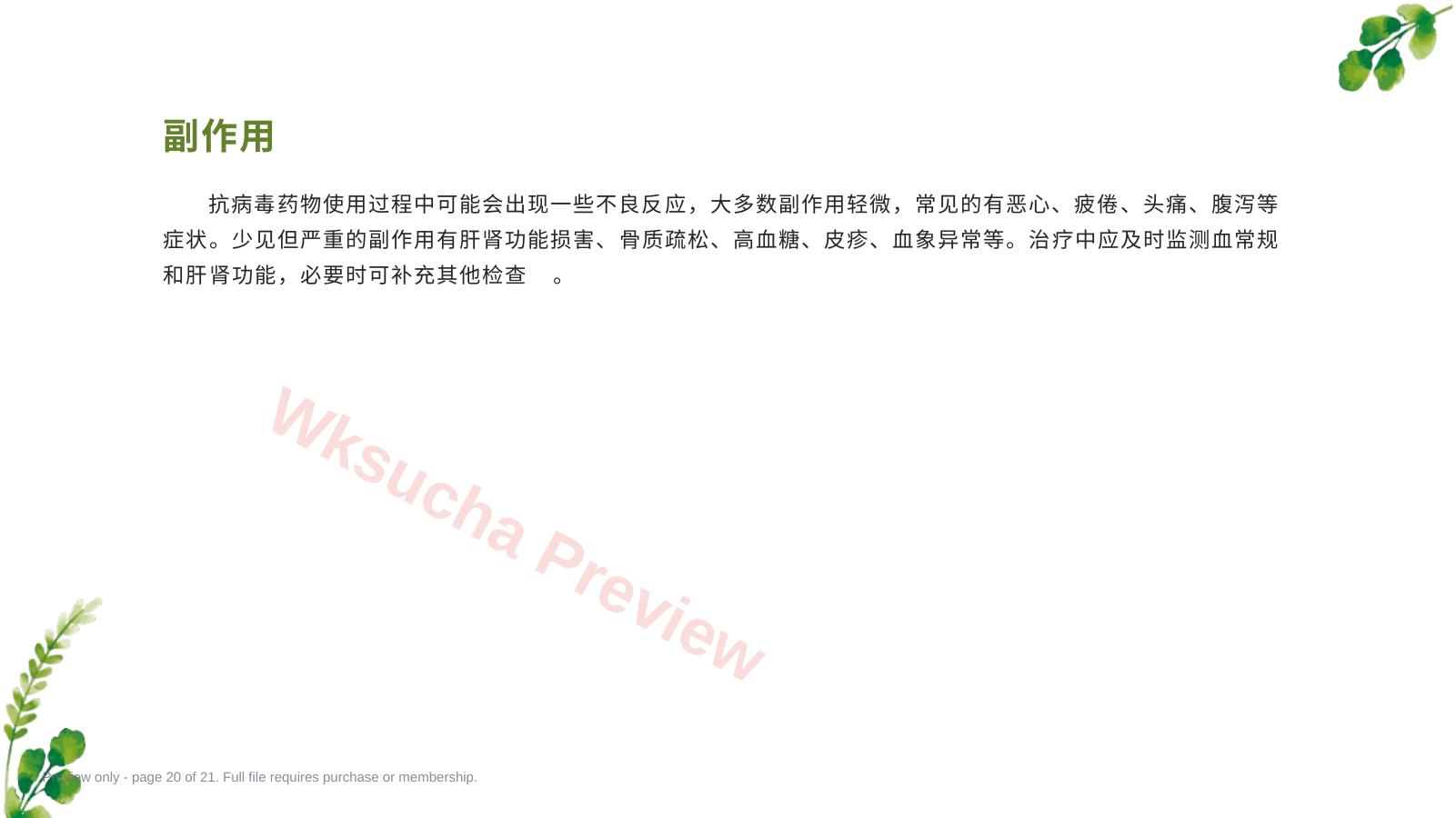 预览第 20 页
