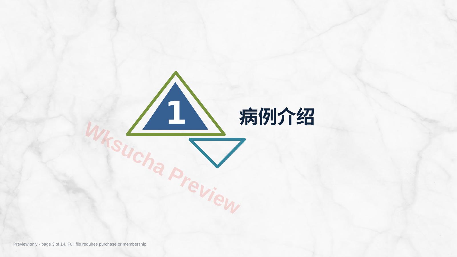 预览第 3 页