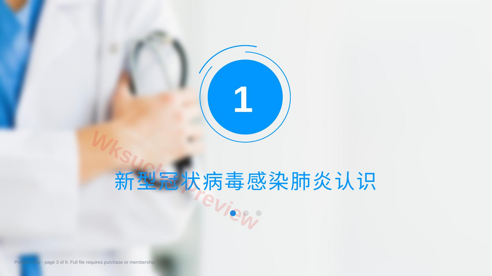 预览第 3 页