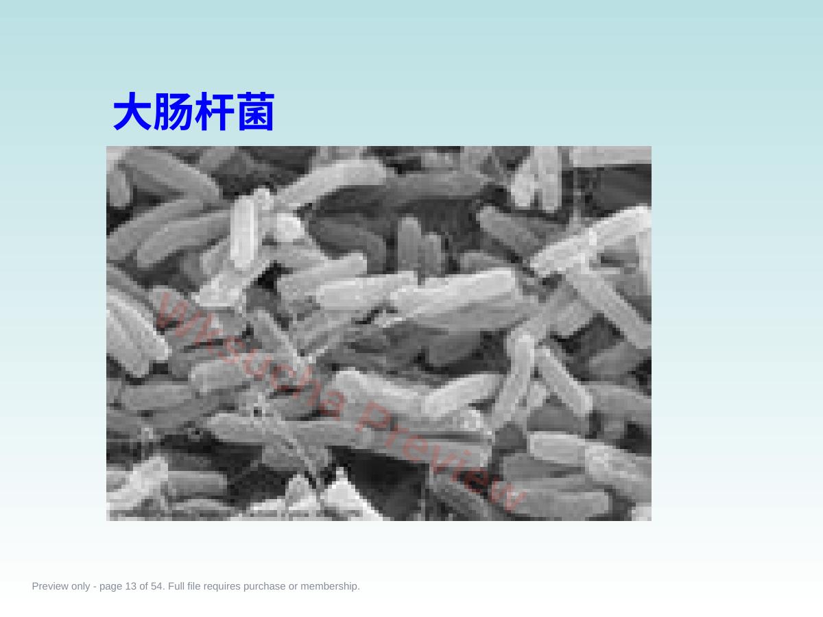 预览第 13 页