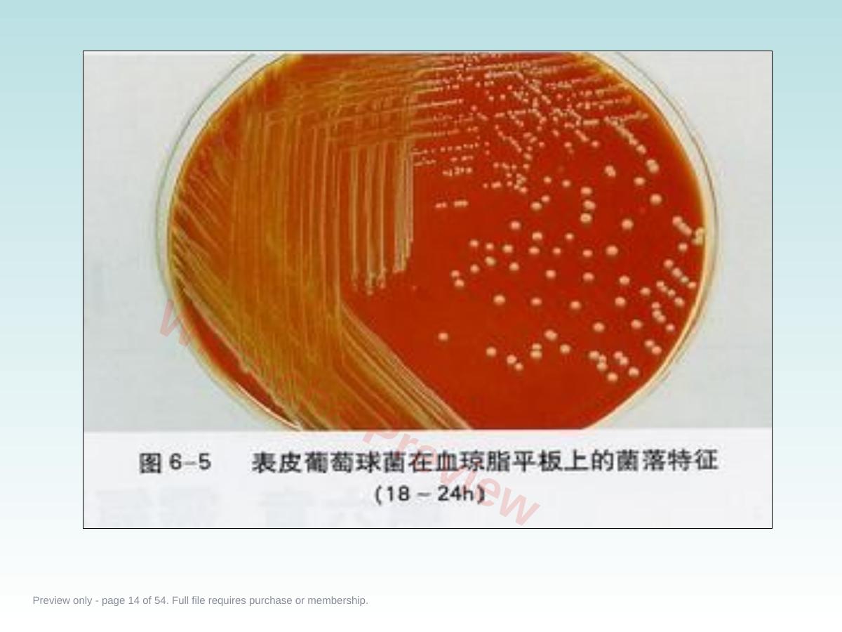 预览第 14 页