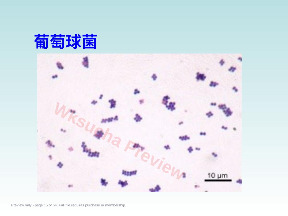 预览第 15 页