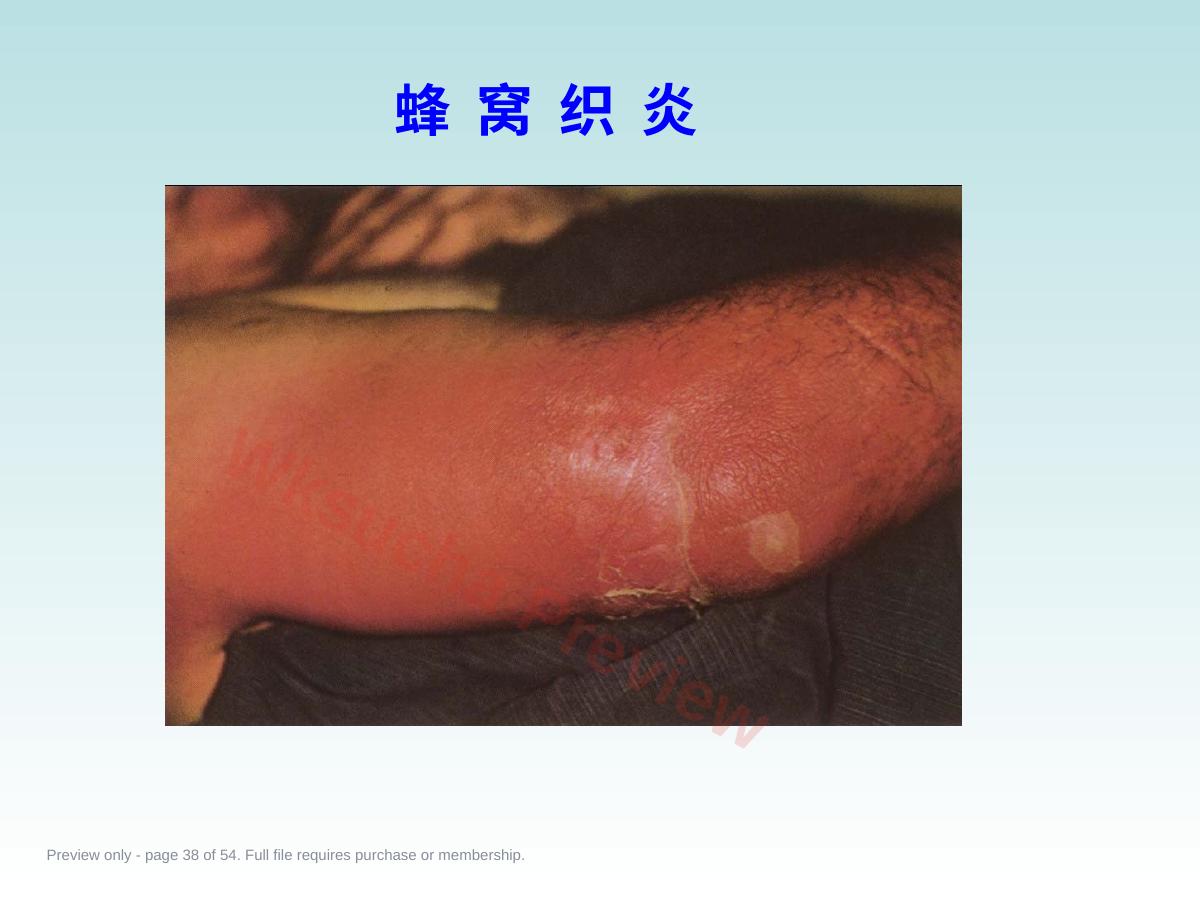预览第 38 页