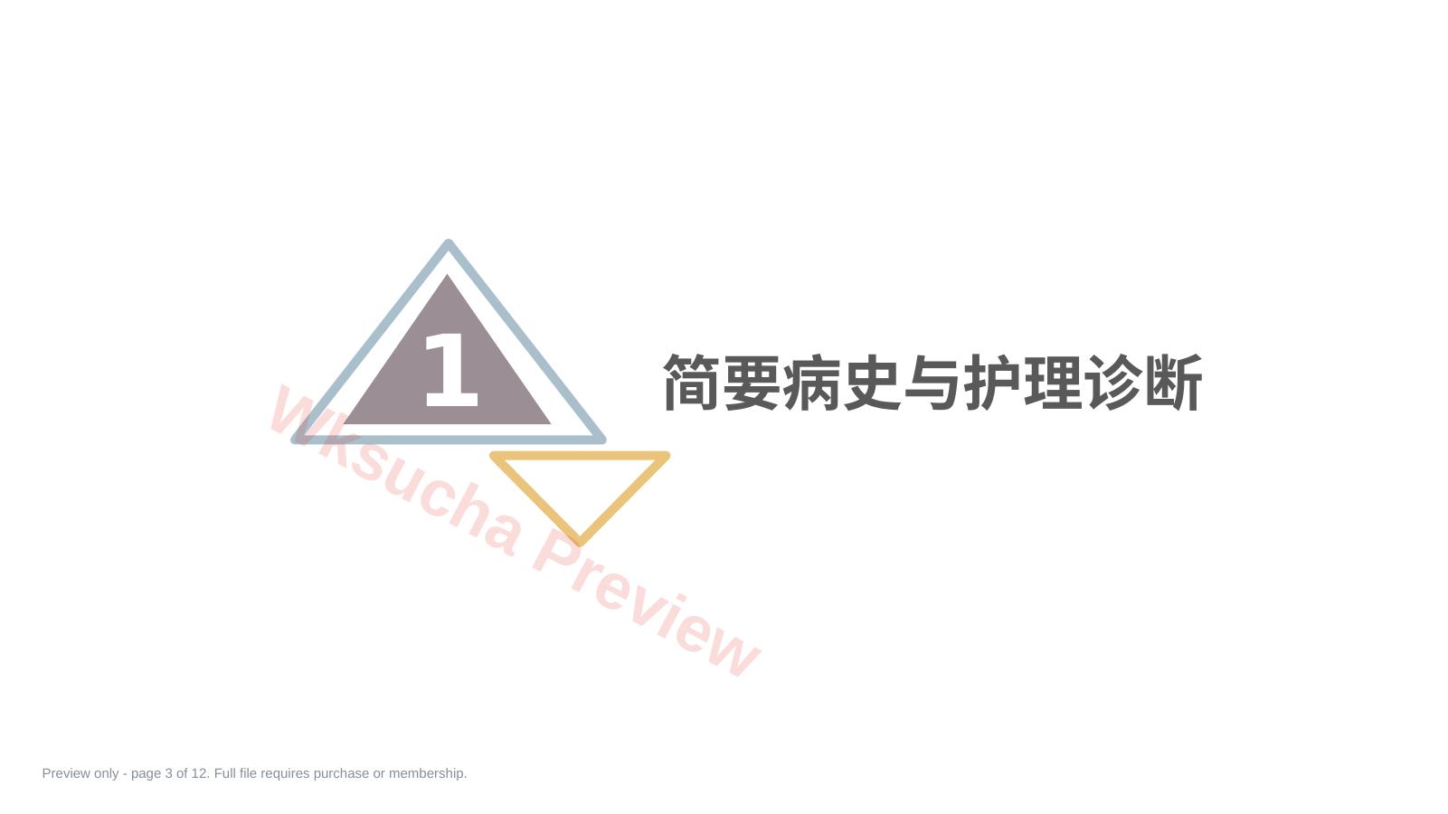 预览第 3 页