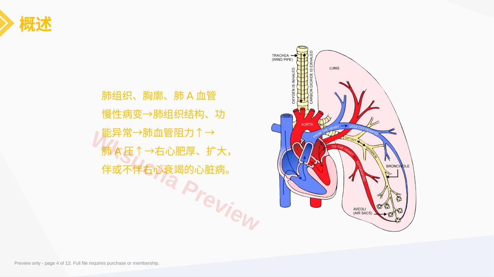 预览第 4 页