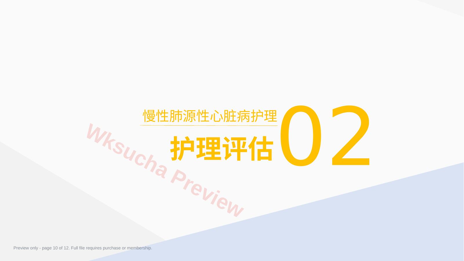 预览第 10 页