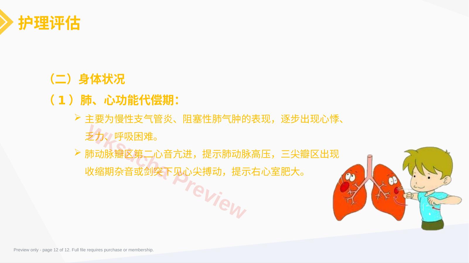 预览第 12 页