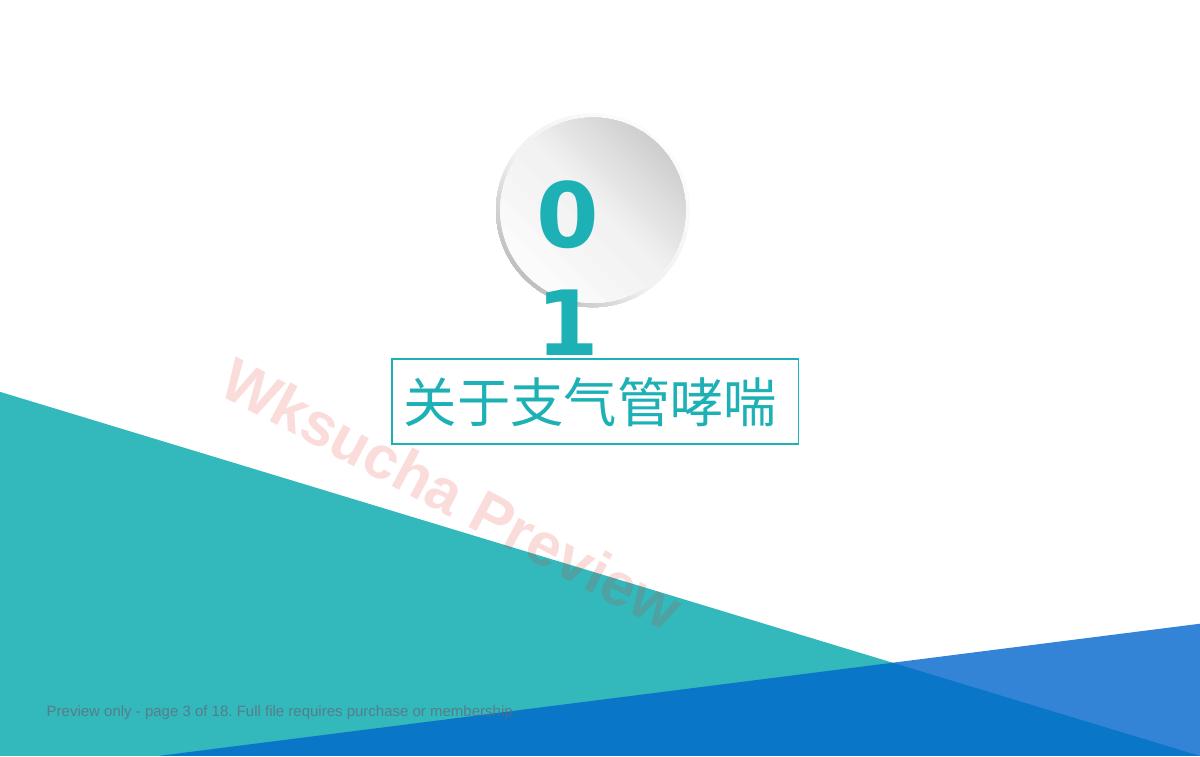 预览第 3 页