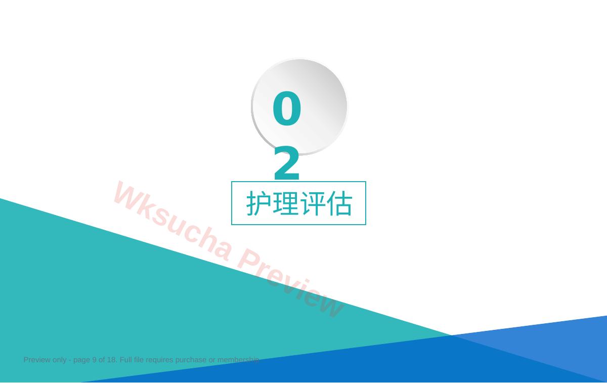 预览第 9 页