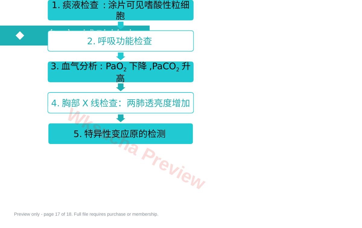 预览第 17 页