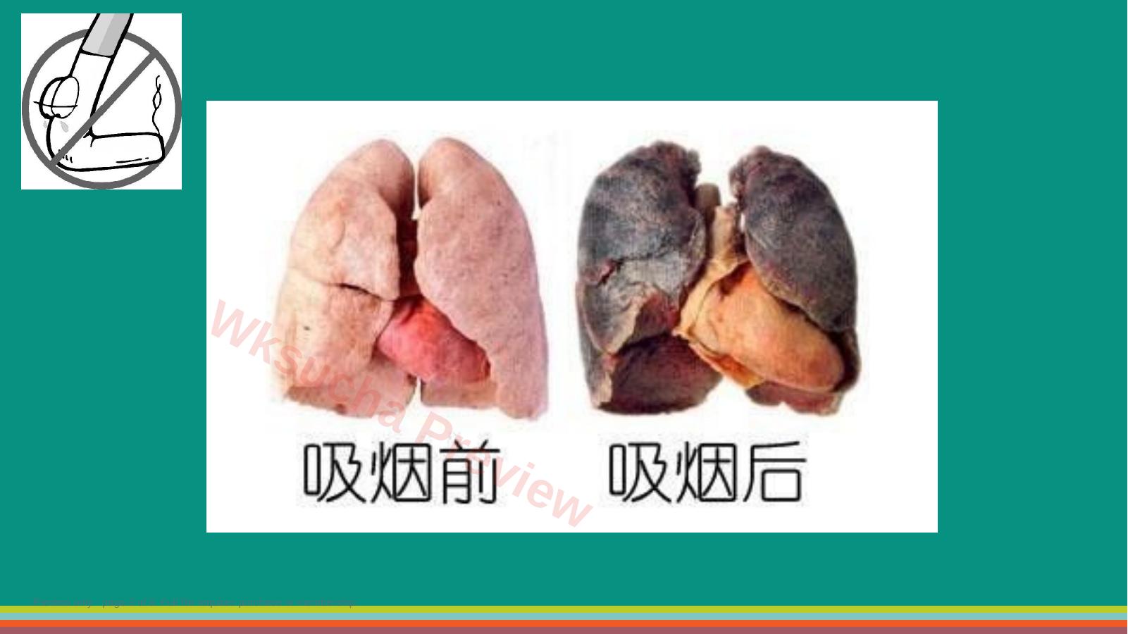 预览第 3 页
