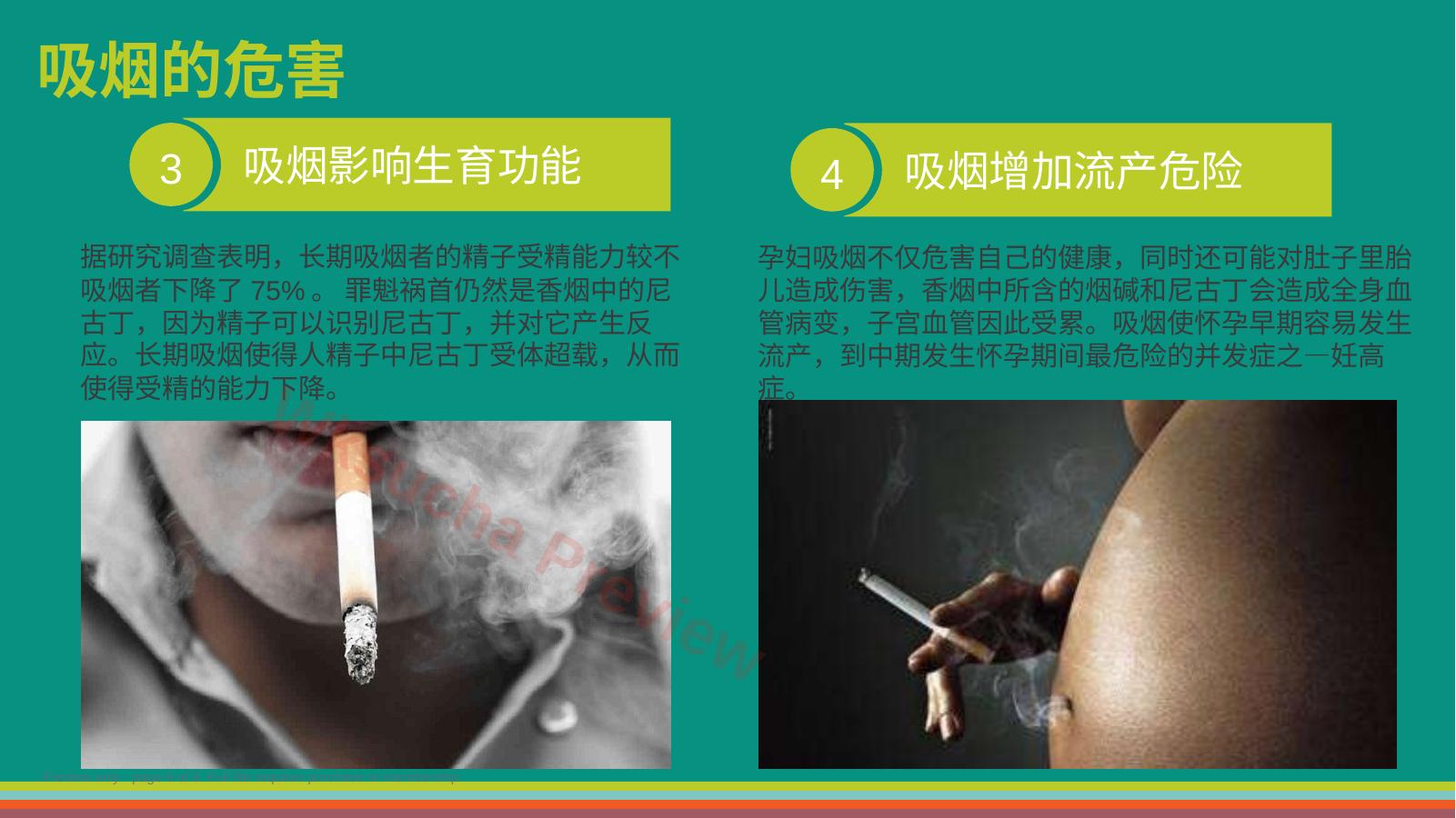 预览第 6 页