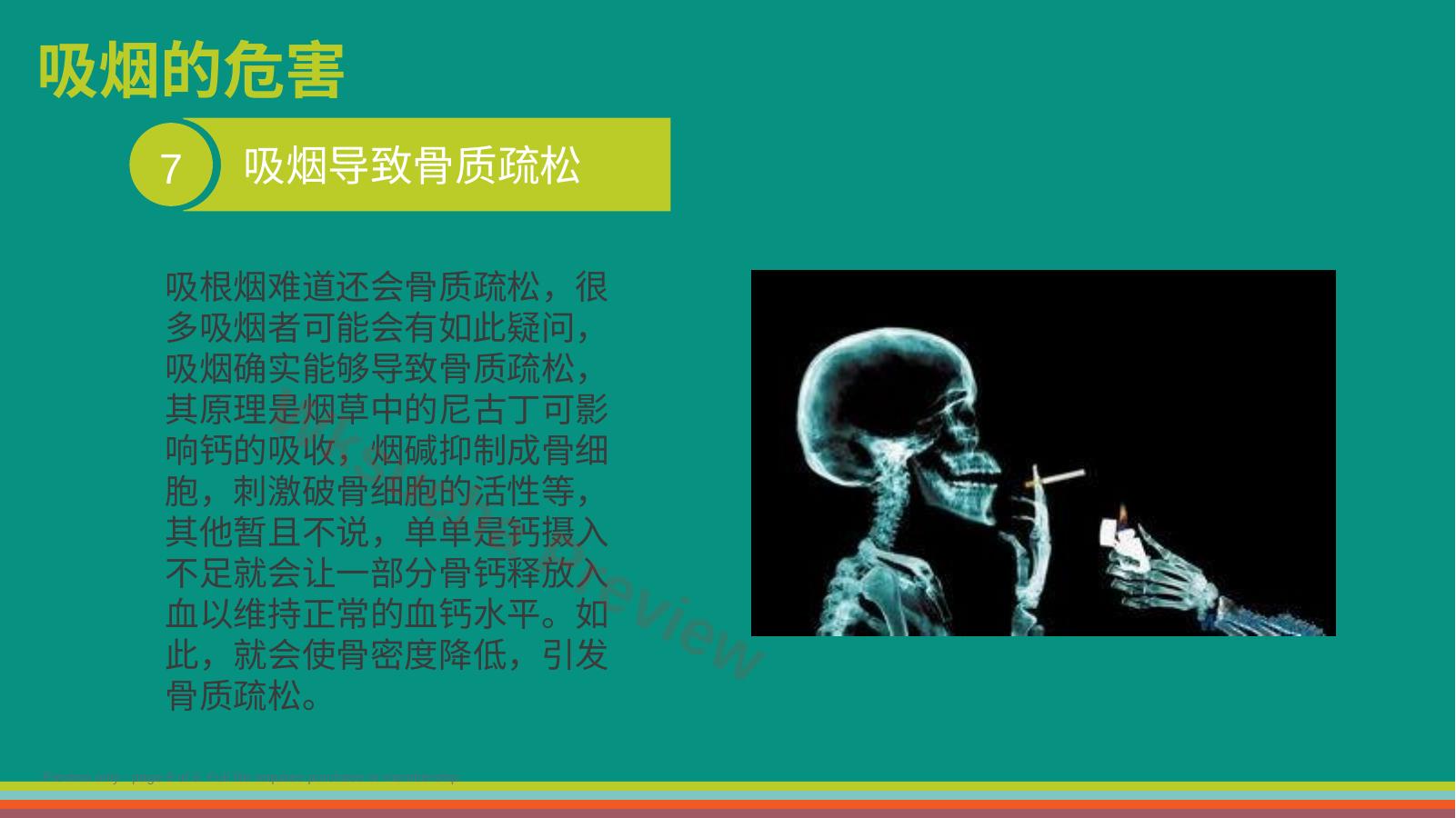 预览第 8 页
