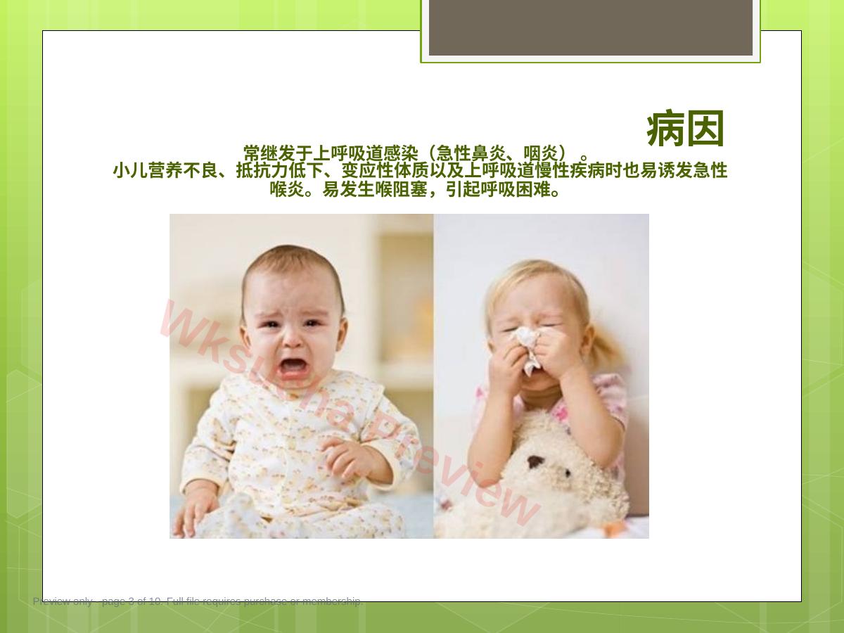 预览第 3 页