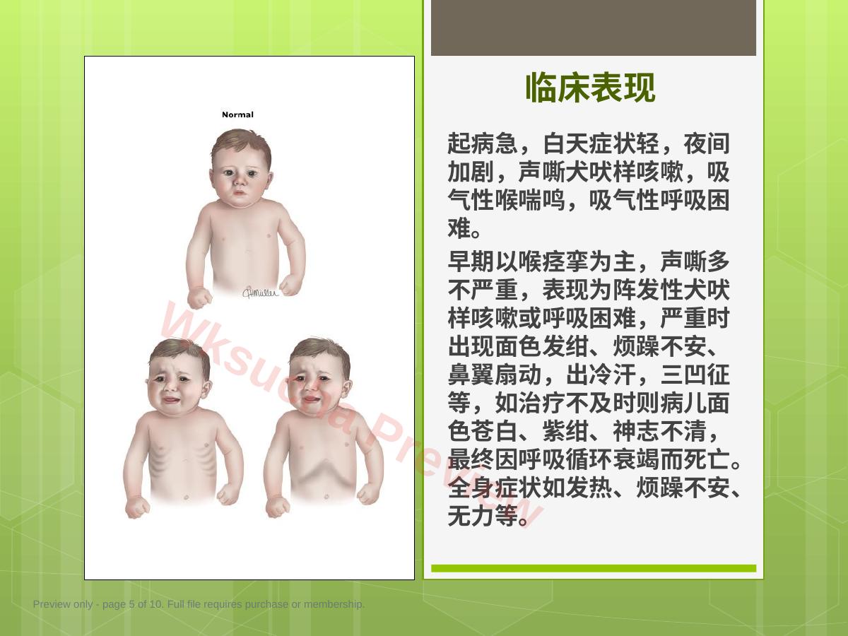 预览第 5 页