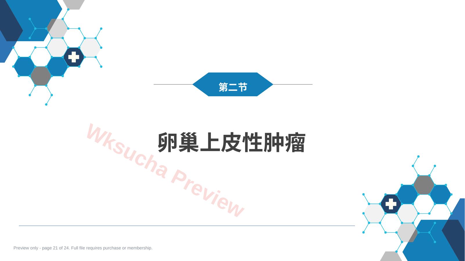 预览第 21 页