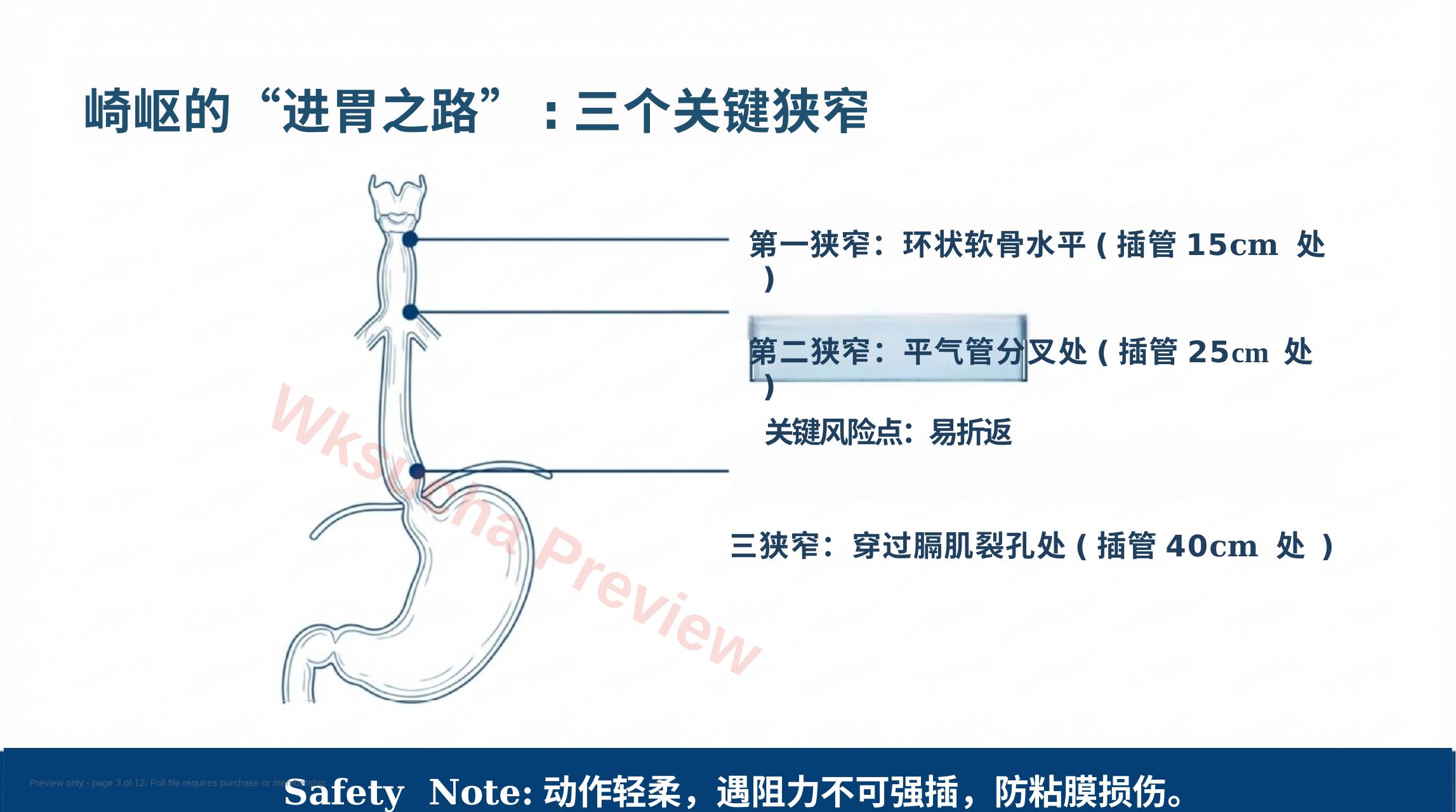 预览第 3 页