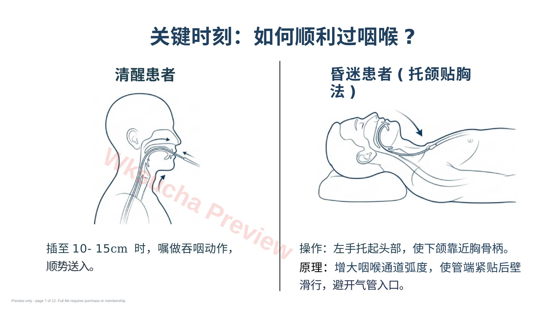 预览第 7 页
