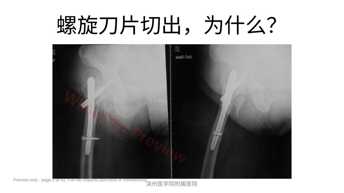 预览第 6 页