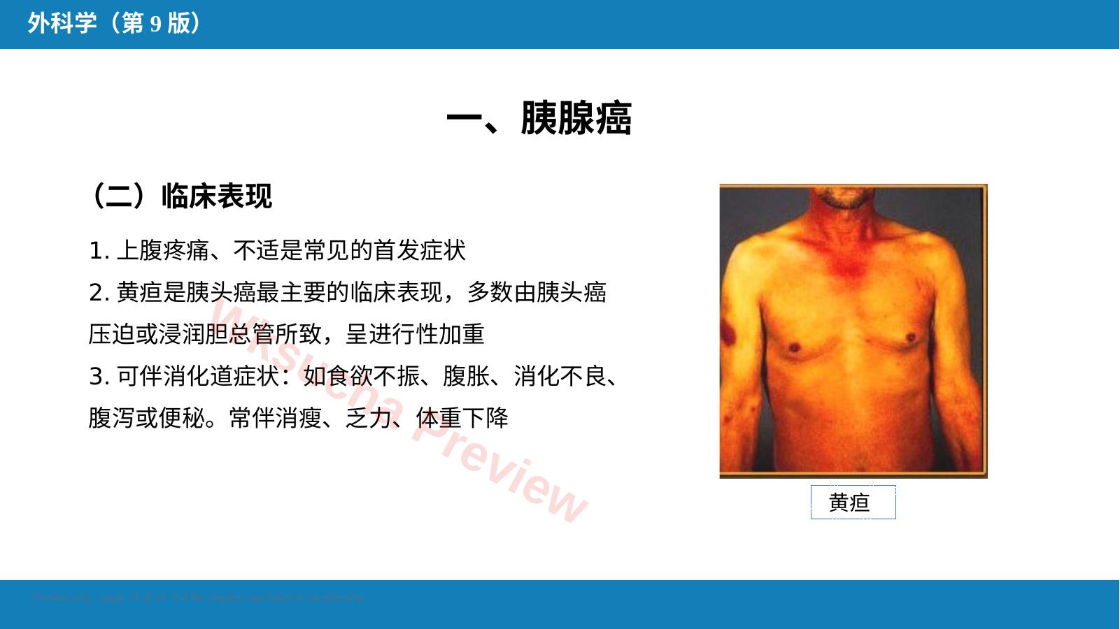 预览第 13 页