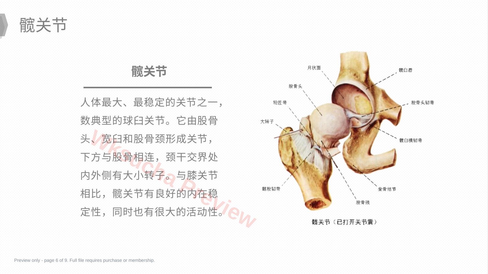 预览第 6 页