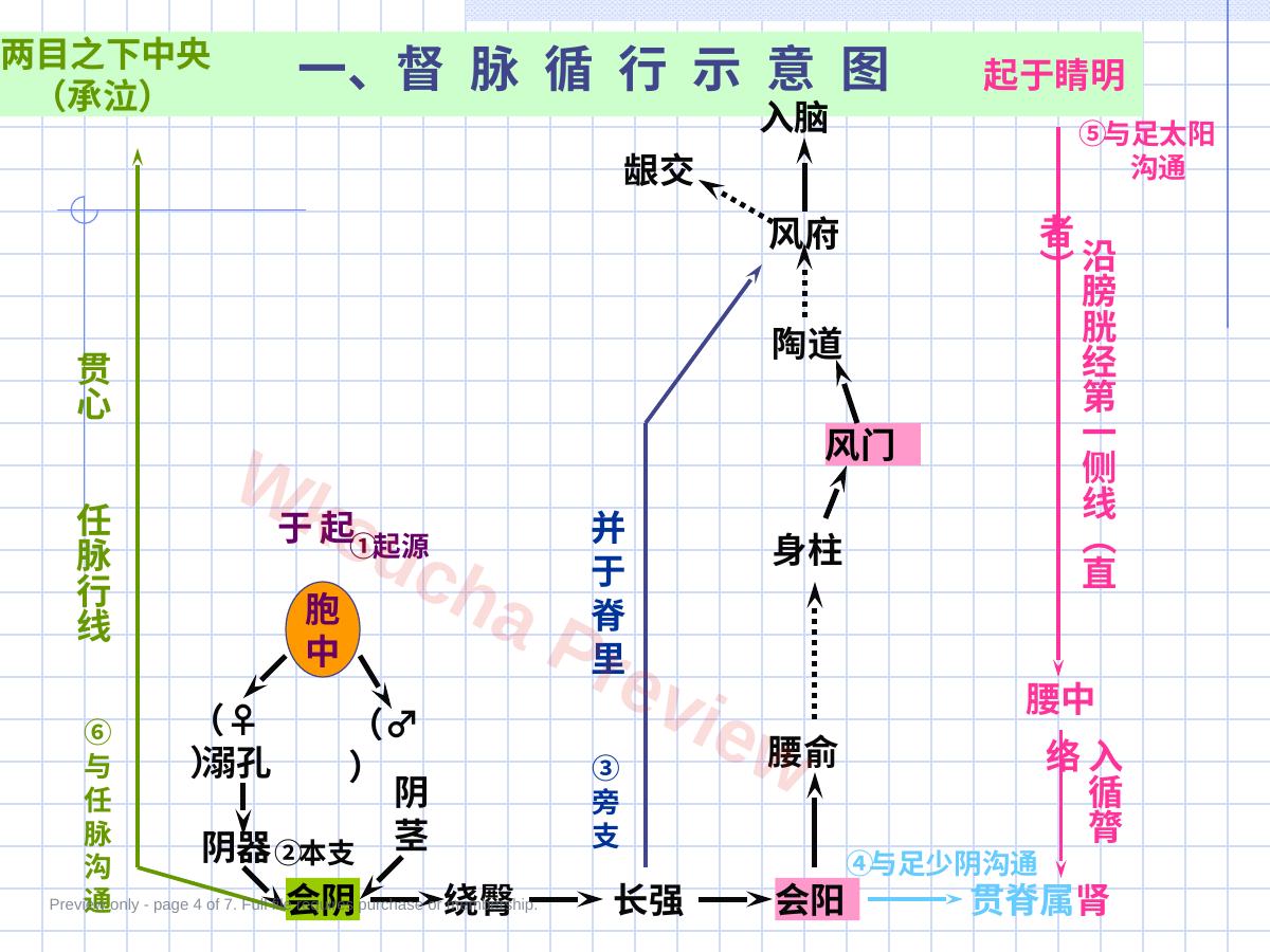 预览第 4 页