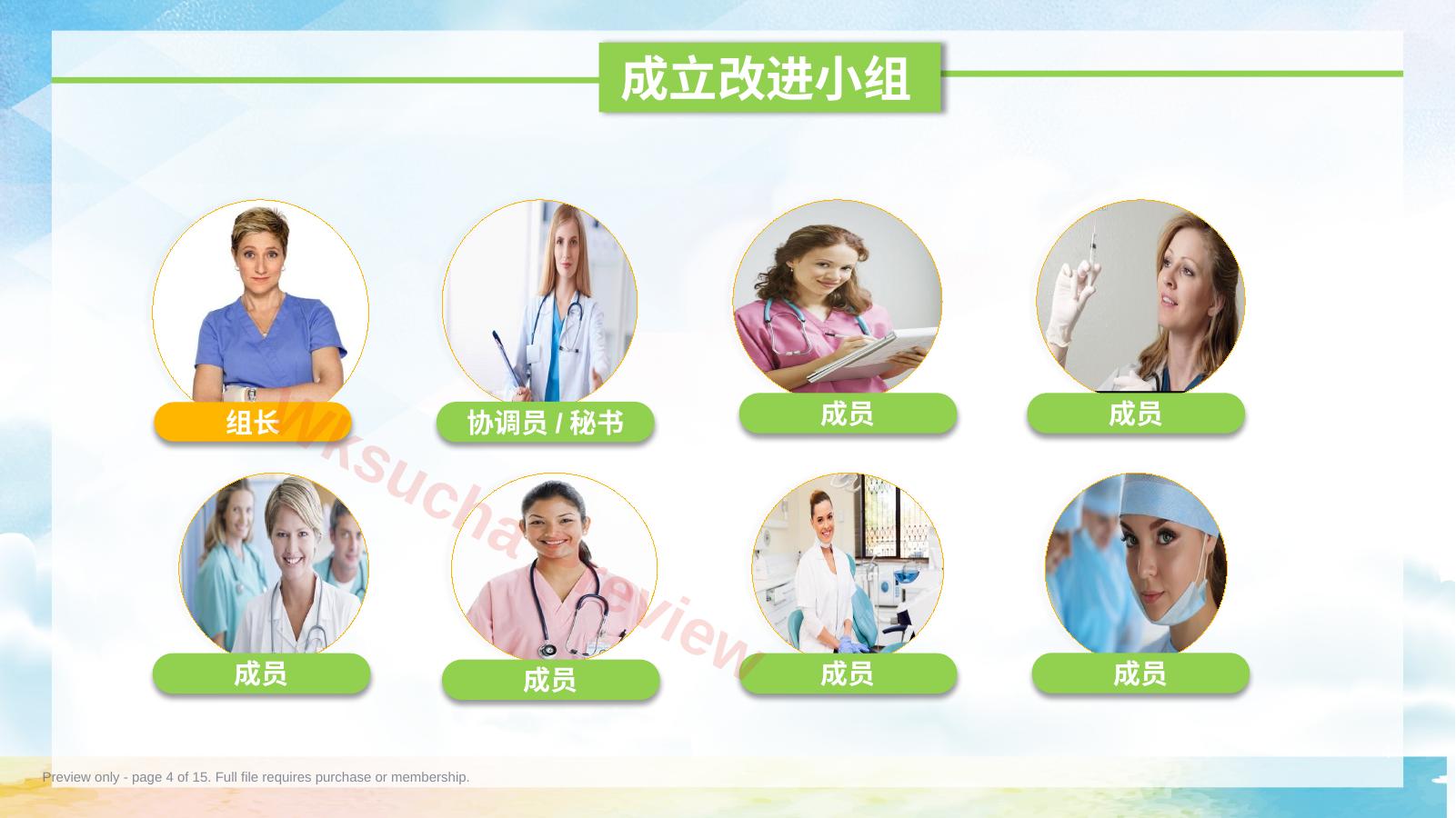 预览第 4 页