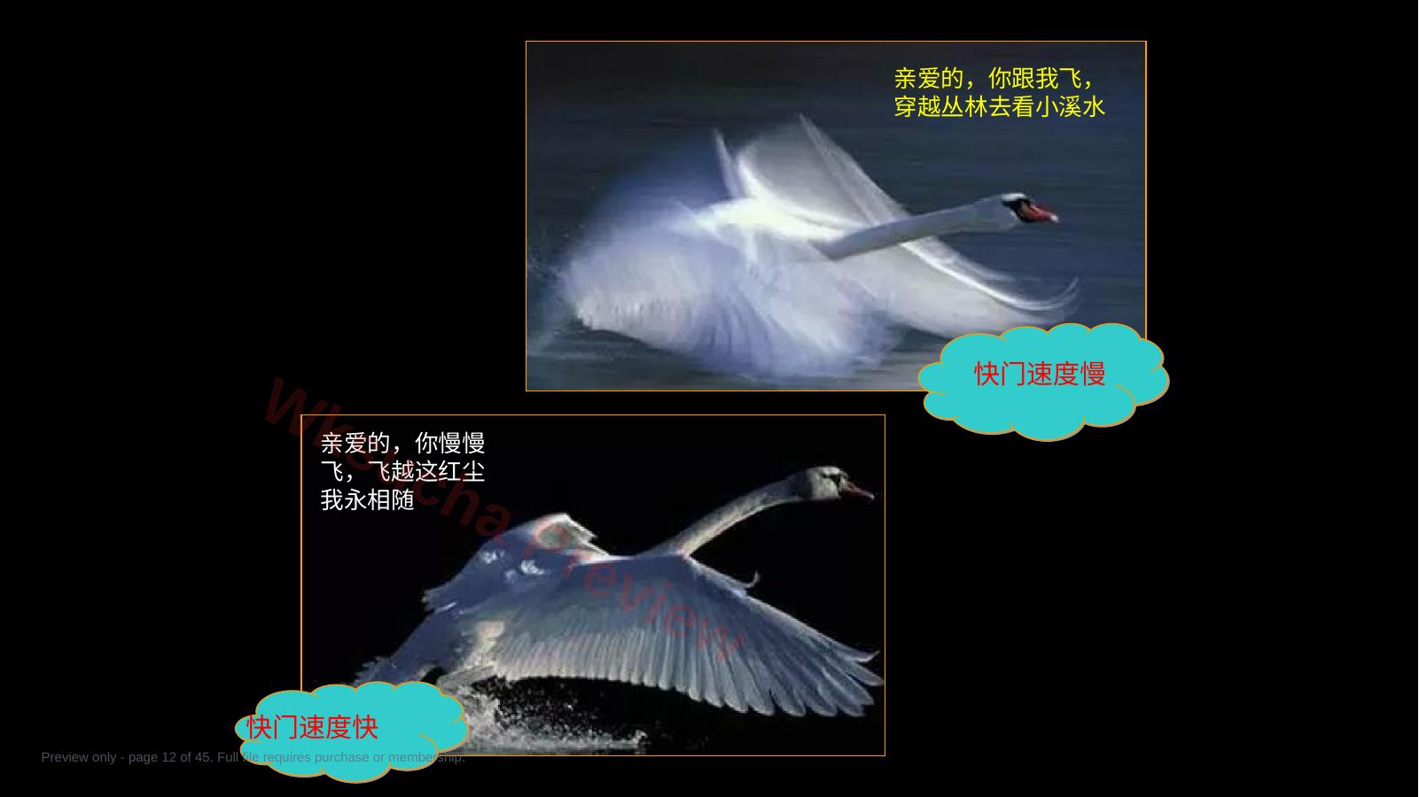 预览第 12 页