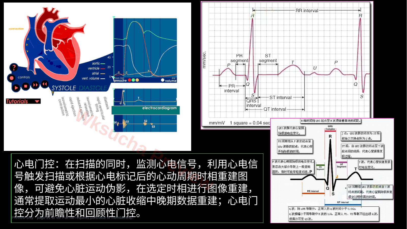 预览第 21 页