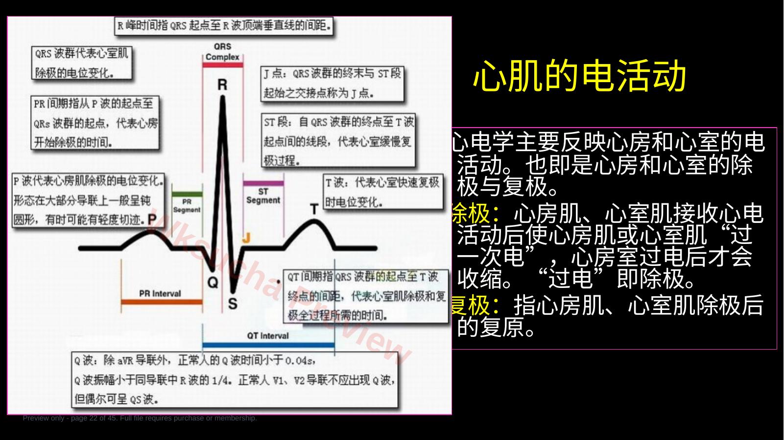 预览第 22 页