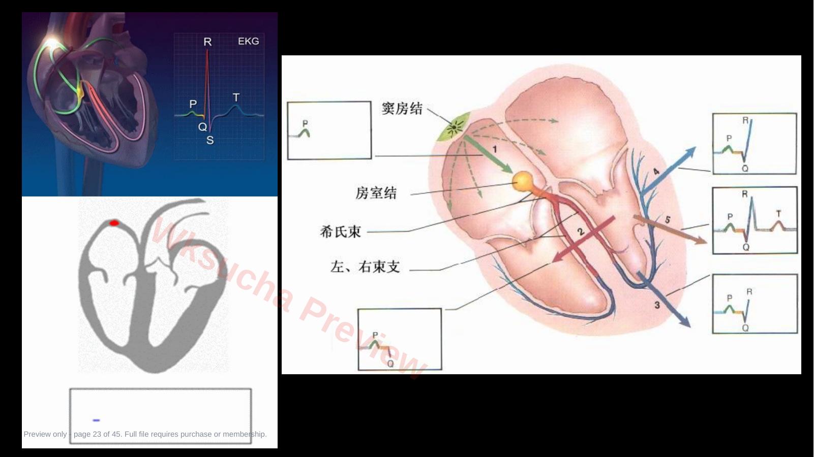预览第 23 页