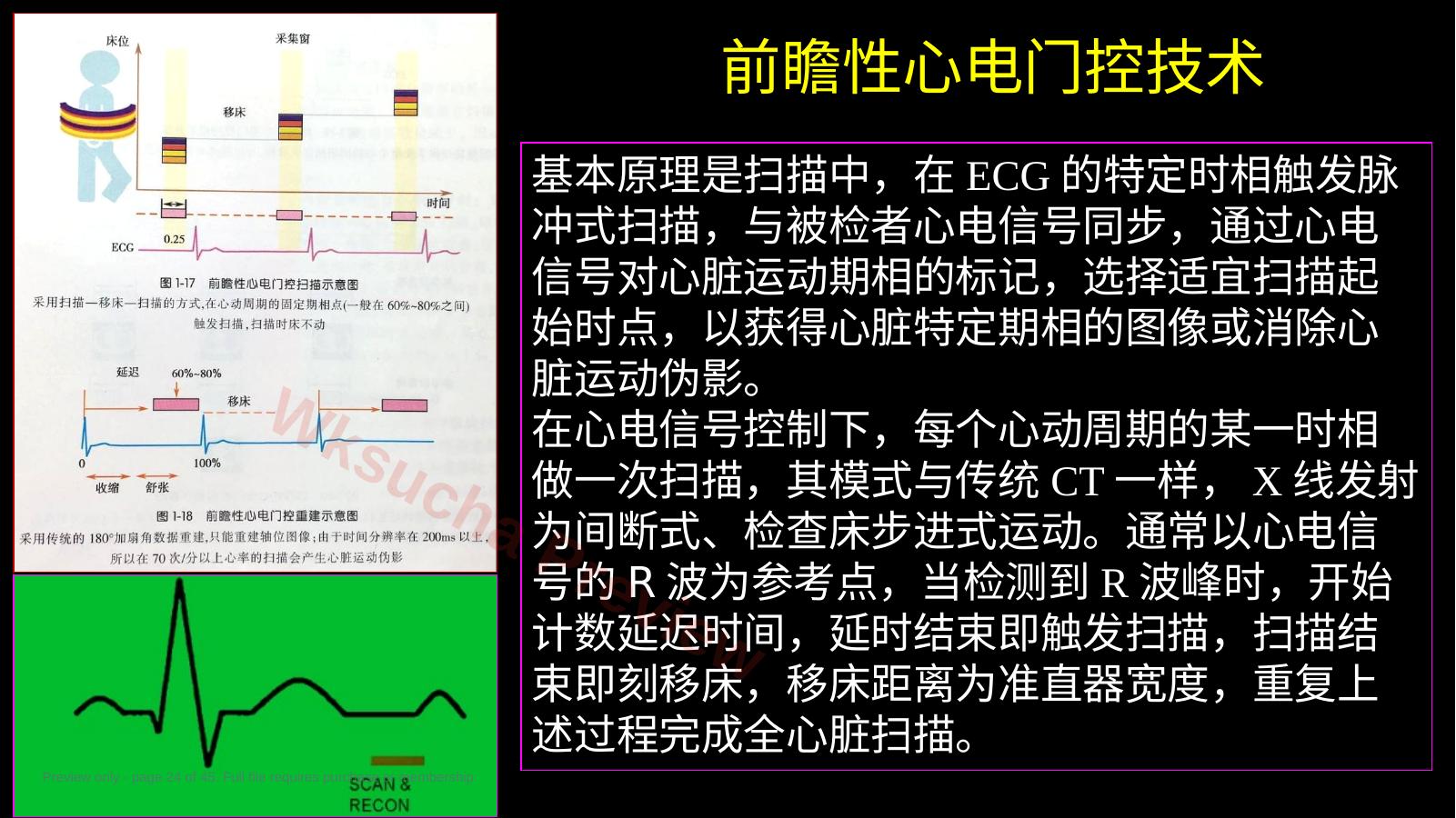 预览第 24 页