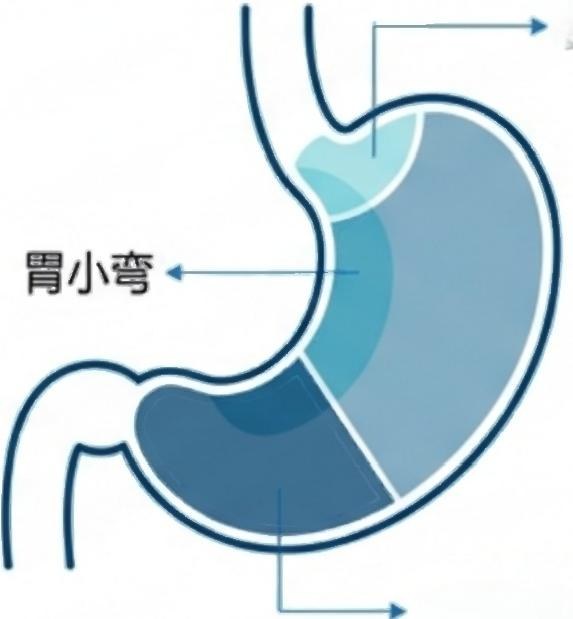预览第 3 页