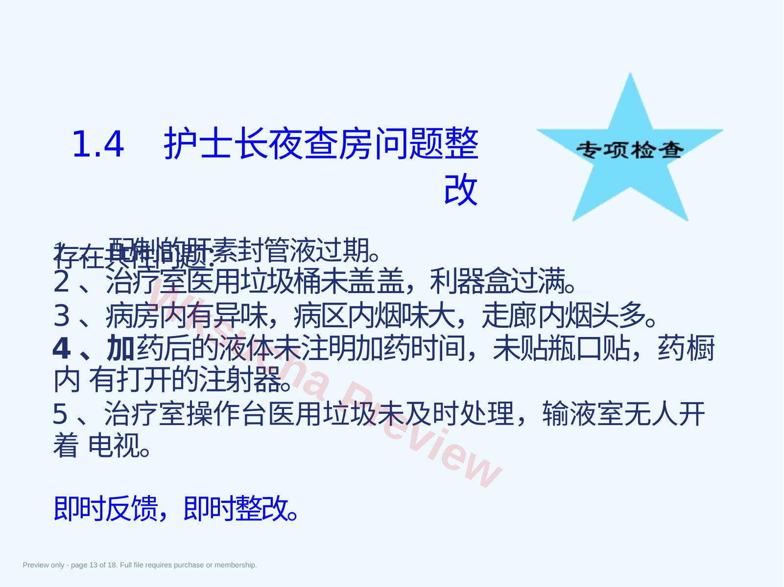 预览第 13 页