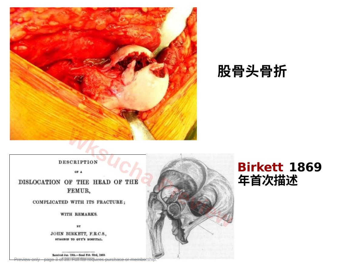 预览第 3 页