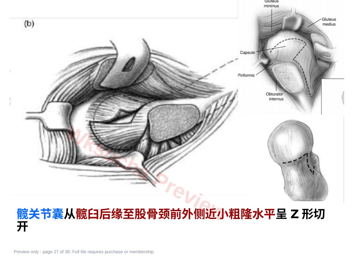 预览第 27 页