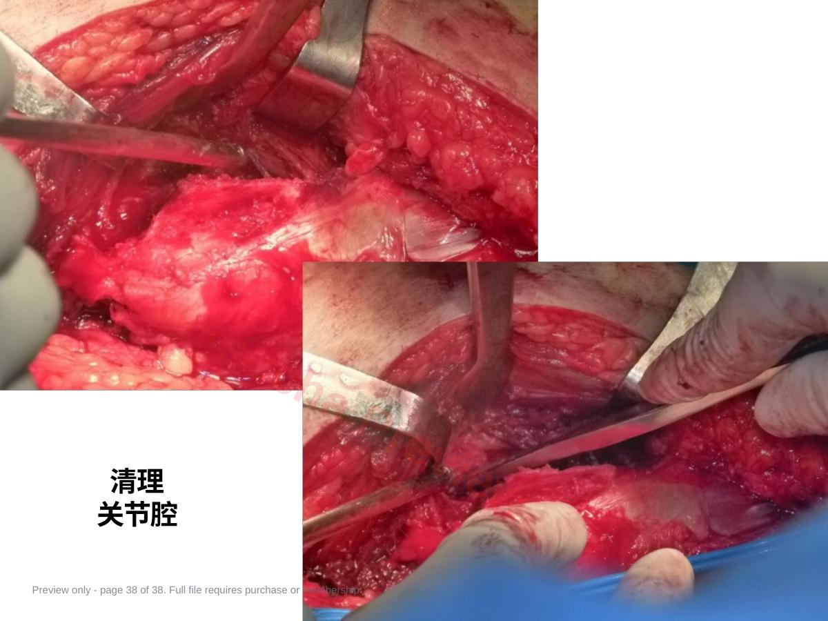 预览第 38 页