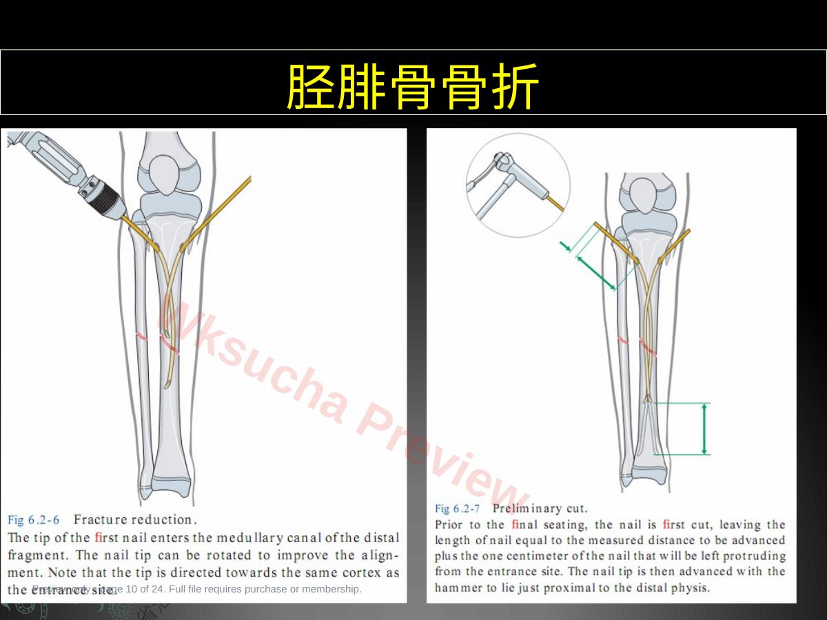 预览第 10 页