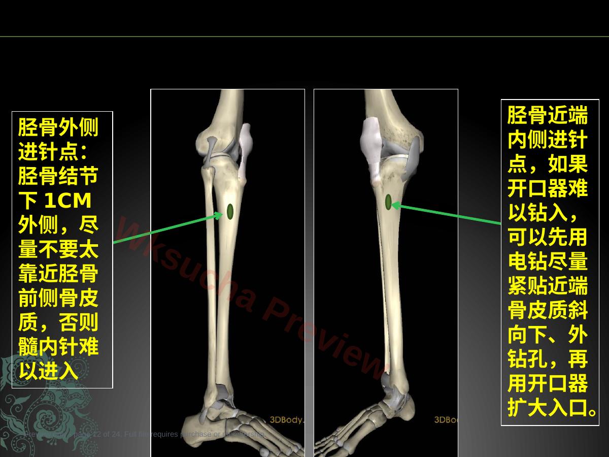 预览第 12 页