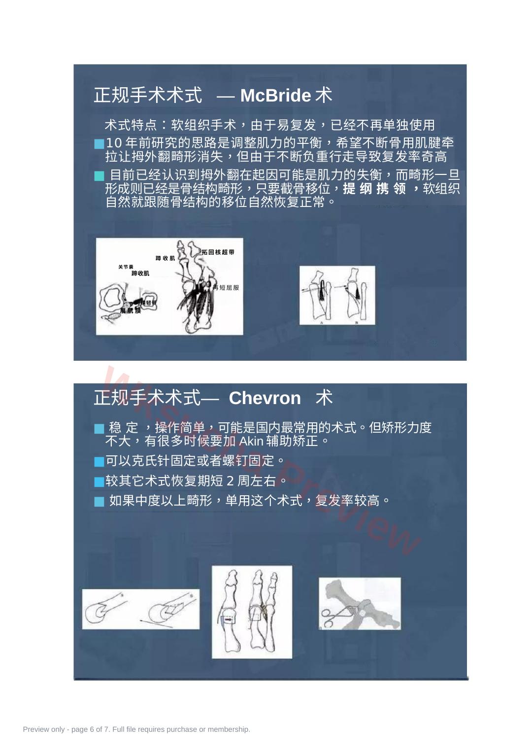 预览第 6 页