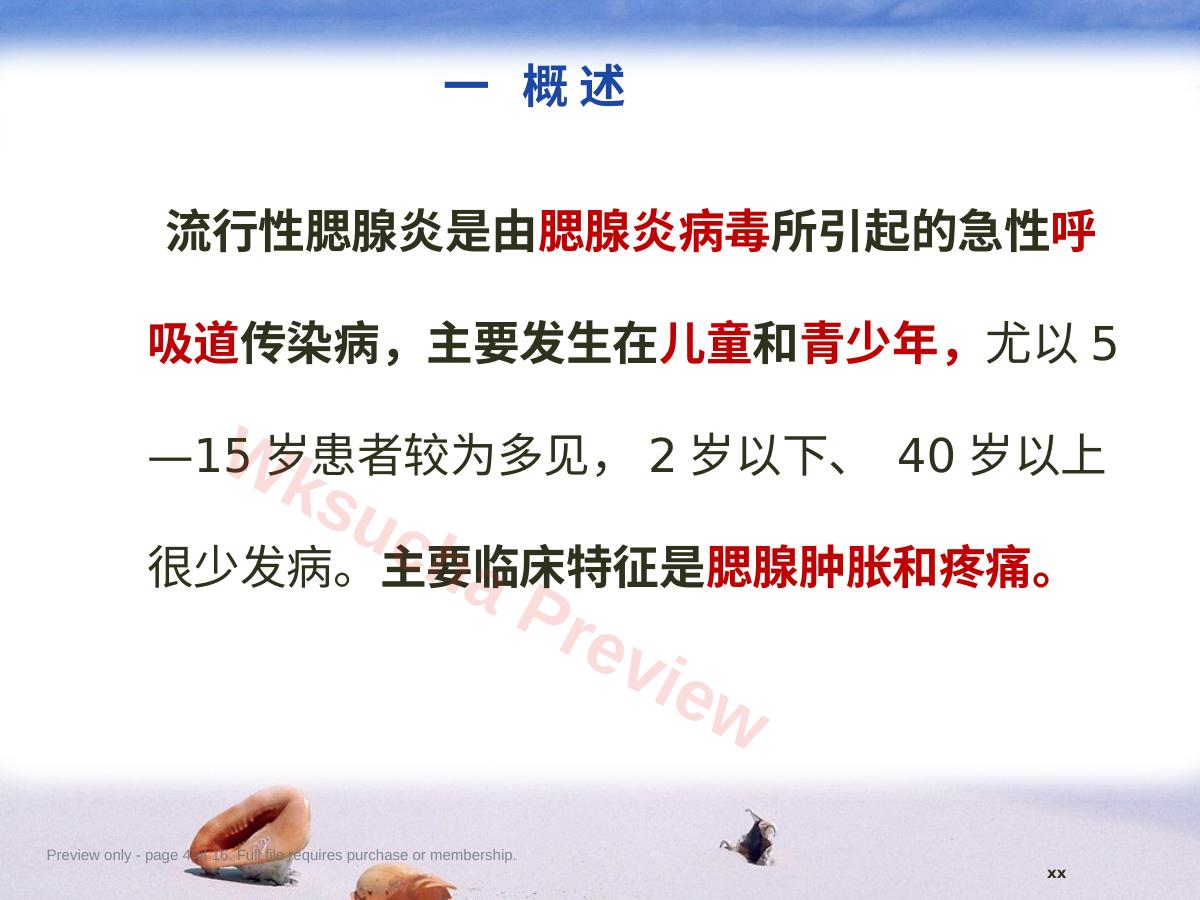 预览第 4 页