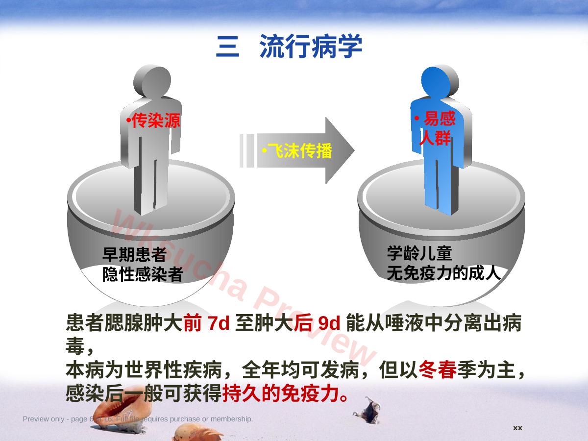 预览第 6 页