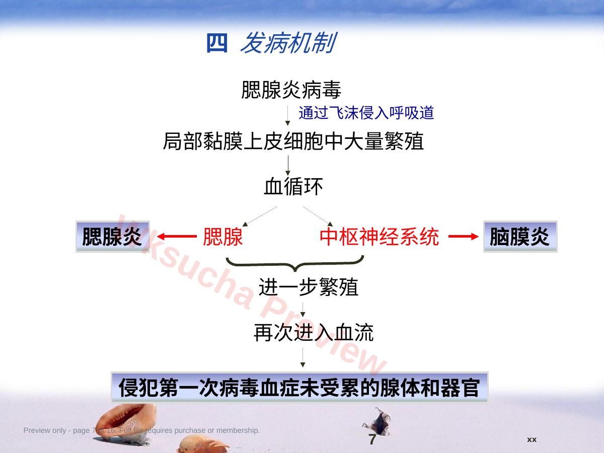 预览第 7 页