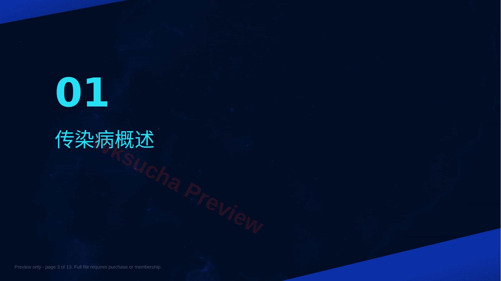 预览第 3 页