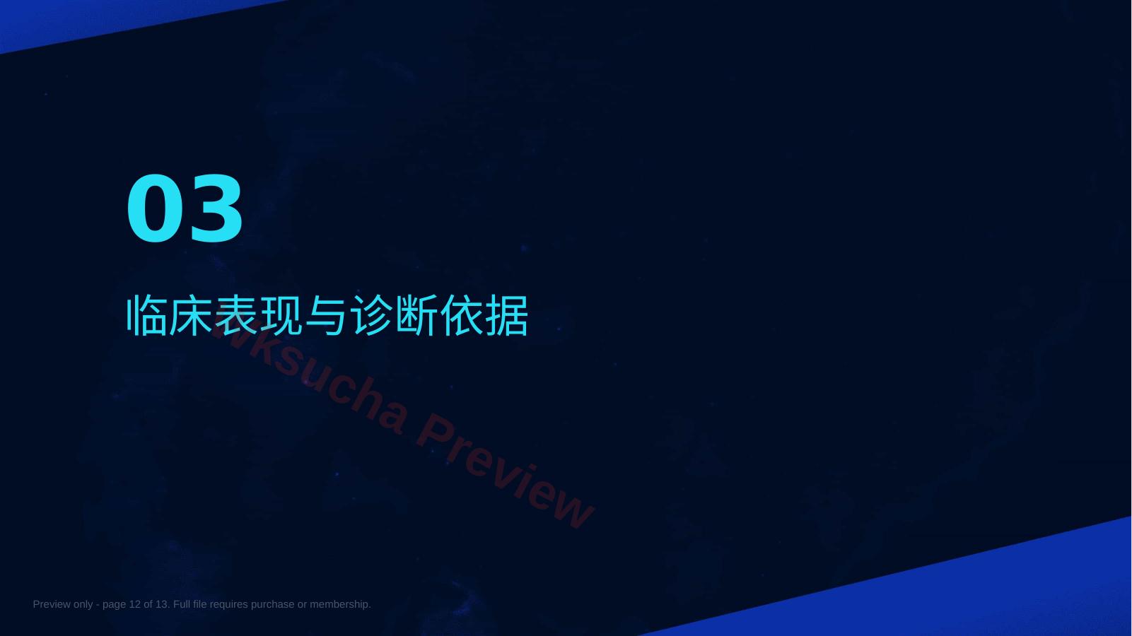 预览第 12 页