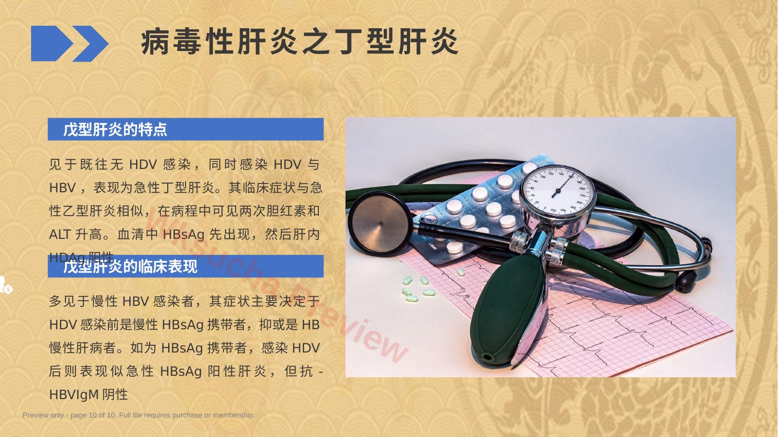 预览第 10 页