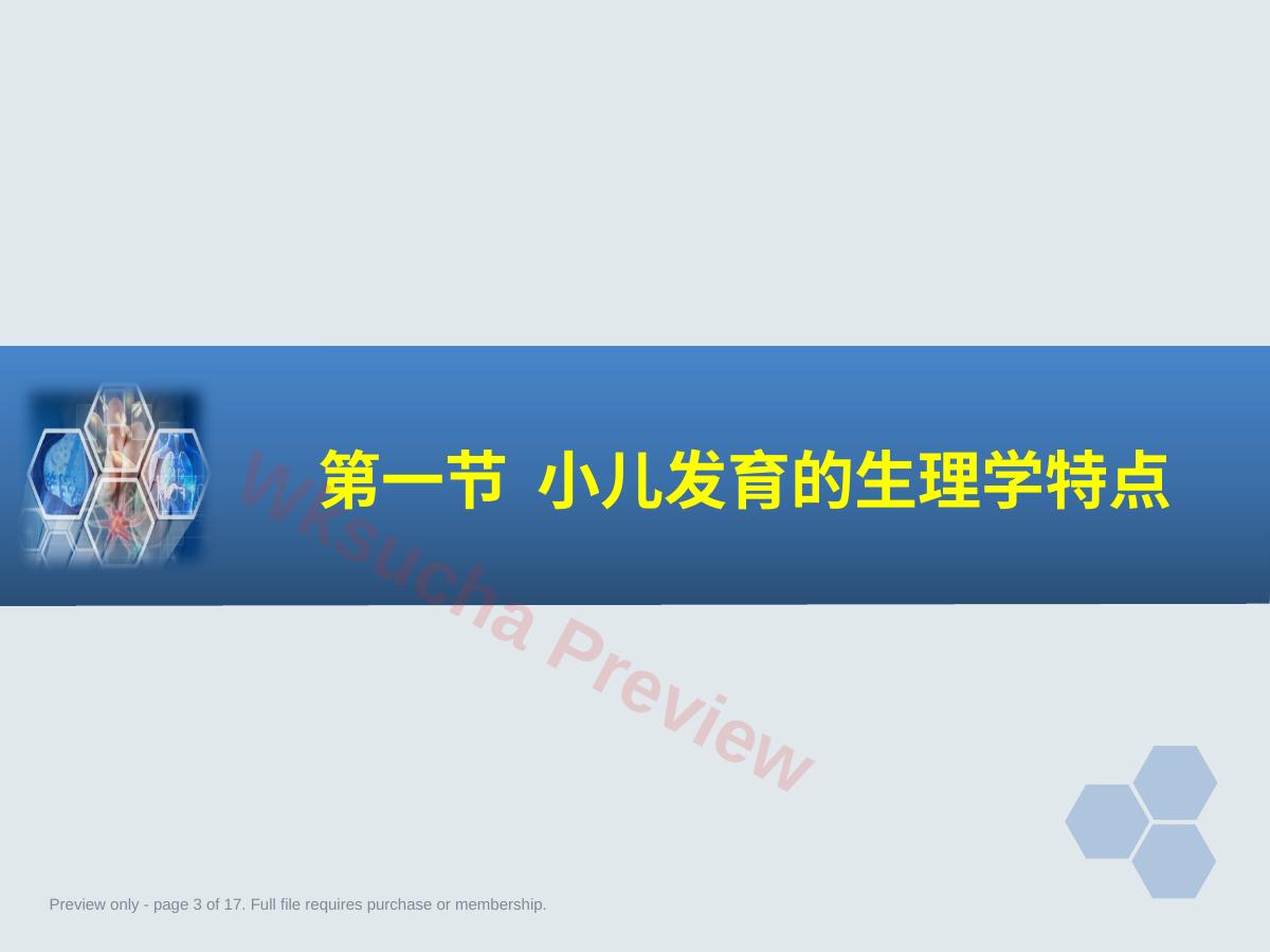 预览第 3 页